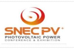 SNEC��ʮ�˽�(2025��)����̫���ܹ�����ǻ���Դ(�Ϻ�) �����չ