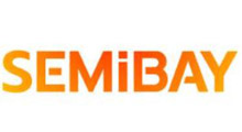 2025��SEMIBAY�����뵼���ҵ��̬�����ᣨ���ڣ�