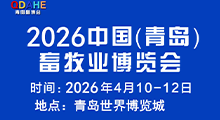 2026�й����ൺ������ҵ������